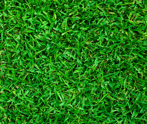 zelené trávě textura - Fotografie, Obrázek
