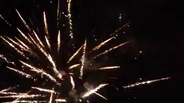 Новорічні феєрверки на нічному небі
 - Кадри, відео
