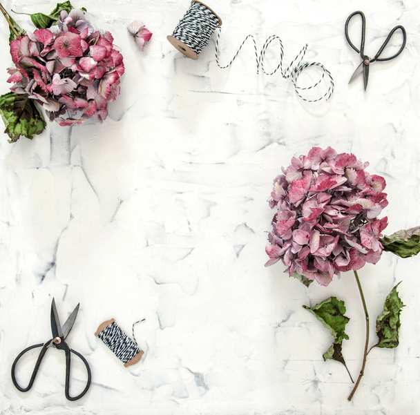 Flat lay hortensia flowers scissors marble background - Fotoğraf, Görsel