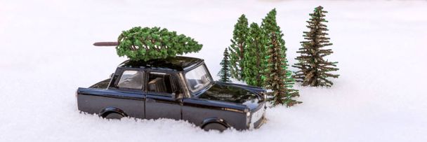Auto s vánoční strom v miniaturní jehličnatý Les - Fotografie, Obrázek