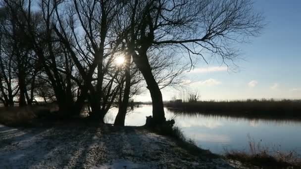 Havel rivierlandschap in wintertijd. beetje zon en pakijs rond. (Havelland, Duitsland) - Video