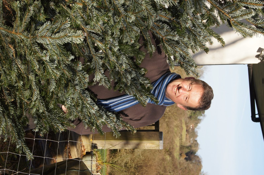 muž s jeho vánoční stromeček - Fotografie, Obrázek