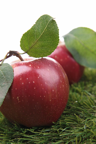 Red apple and leaf - Foto, afbeelding