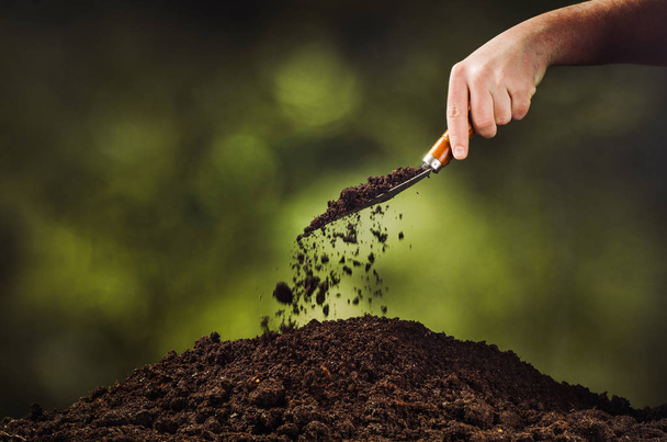 Hand pouring black soil on green plant bokeh background - Fotografie, Obrázek