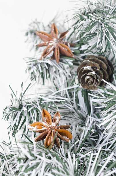 Spruce branches, pine cones and star anise - Foto, Bild