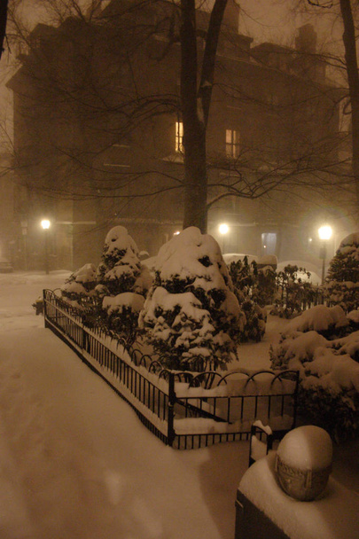 на тлі сніжної зими в Бостоні, масонетті, уса. - Фото, зображення