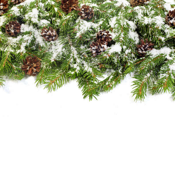 Christmas background. Eve framework - Photo, image