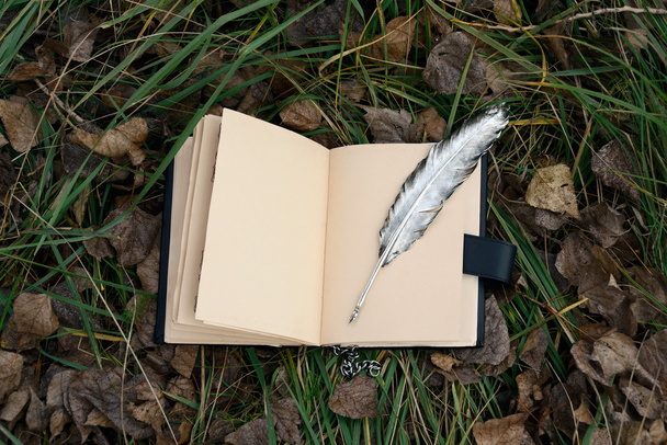 Livro mágico e caneta de prata
 - Foto, Imagem