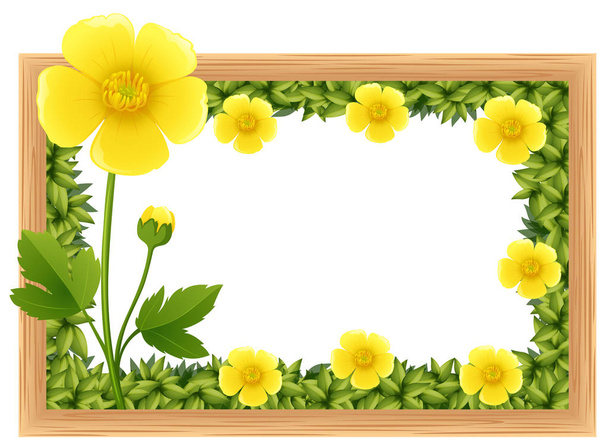 Fleurs de buttercup jaune comme conception de cadre
 - Vecteur, image