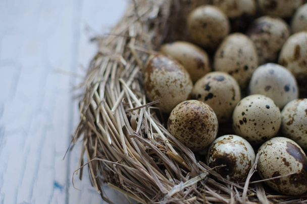 Křepelčí vejce v hnízdě - Fotografie, Obrázek