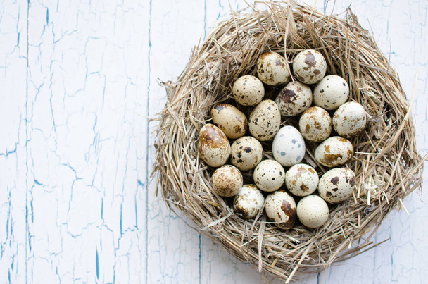 Quail eggs in the nest - Fotografie, Obrázek