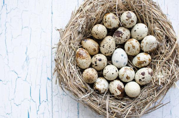 Quail eggs in the nest - Foto, Imagem