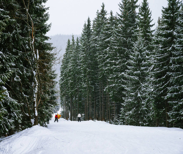 Skiers ride slope - 写真・画像