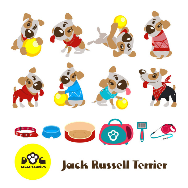 Kahdeksan hassua koiraa, Jack Russell Terrier vaatteissa. Vaatteet ja asusteet koirille. Vector kuva eristetty valkoisella taustalla
. - Vektori, kuva