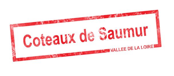 Vallee de la Loire and Coteaux de Saumur vineyard appellation in - Fotó, kép