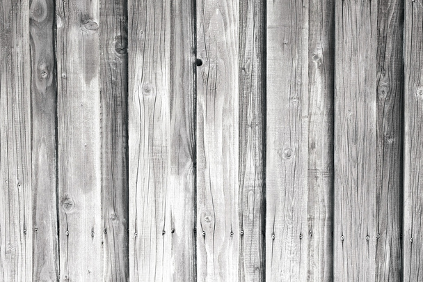 Timber wood - Foto, imagen