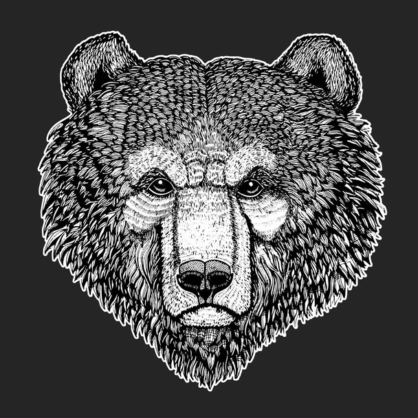 Άγρια αρκούδα διανυσματική εικόνα για τατουάζ, t-shirt, αφίσες χέρι εικονογράφηση - Διάνυσμα, εικόνα