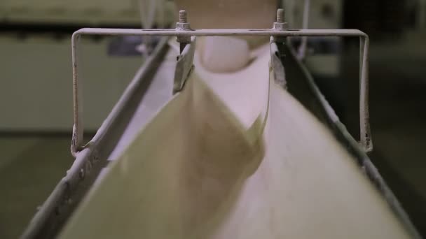 Bakery equipment. conveyor with dough - Footage, Video