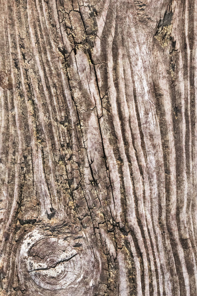 Stare zgniłe wyblakły pęknięty wiązane grubej drewna Grunge tekstur - Zdjęcie, obraz