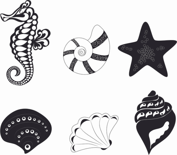 Caballo de mar y conchas marinas
 - Vector, Imagen