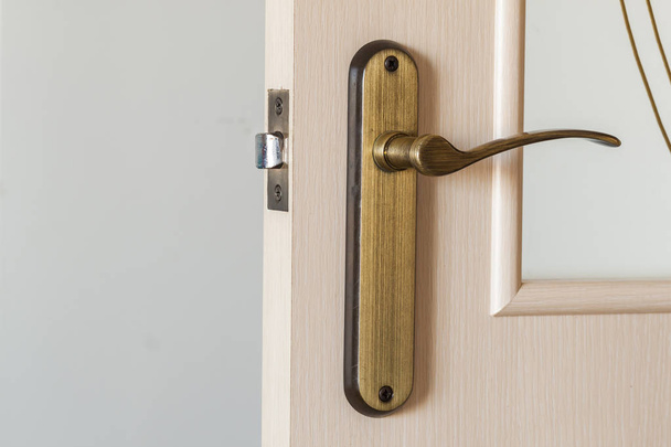 Modern, contemporary satin wooden door metal handle close-up det - Photo, image