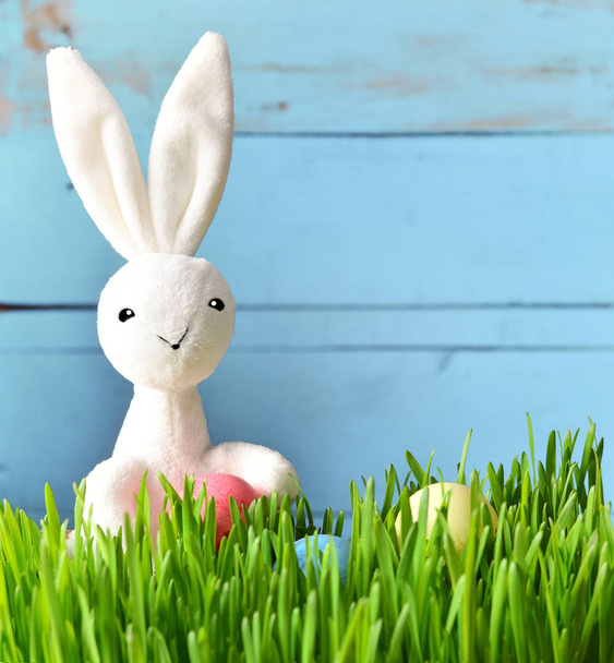 Pequeno coelho e ovos de Páscoa na grama verde
 - Foto, Imagem