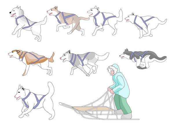 Машина і собаки змішують n матчів
 - Вектор, зображення
