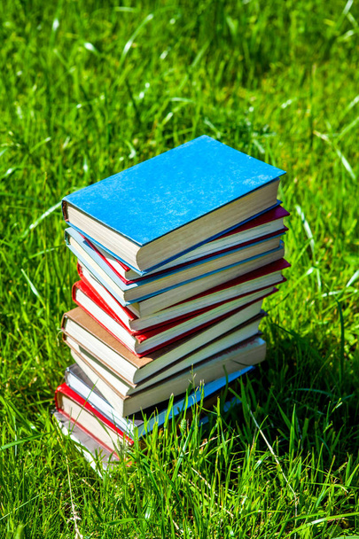 Books on the Grass - Фото, зображення