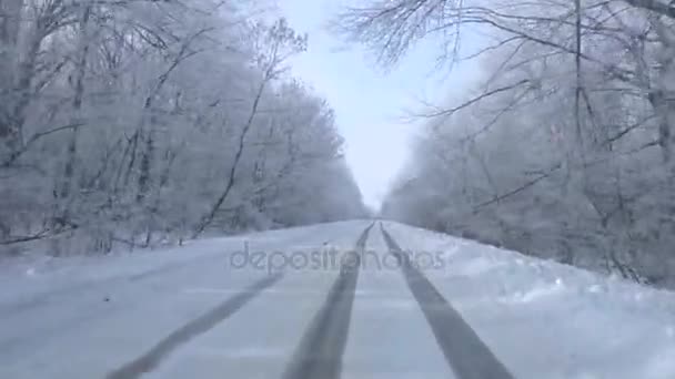 Auto ajaa lumisen metsän läpi.
 - Materiaali, video