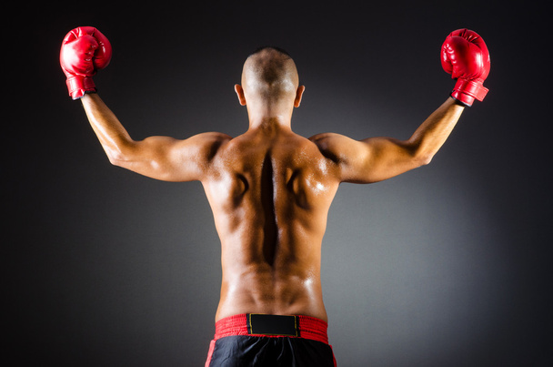 Boxeador muscular en el estudio de tiro
 - Foto, Imagen
