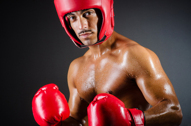 muskulöser Boxer beim Studioshooting - Foto, Bild