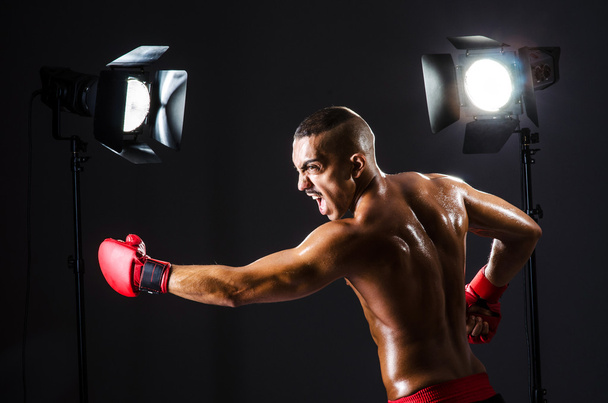 Boxer et lumières de studio
 - Photo, image