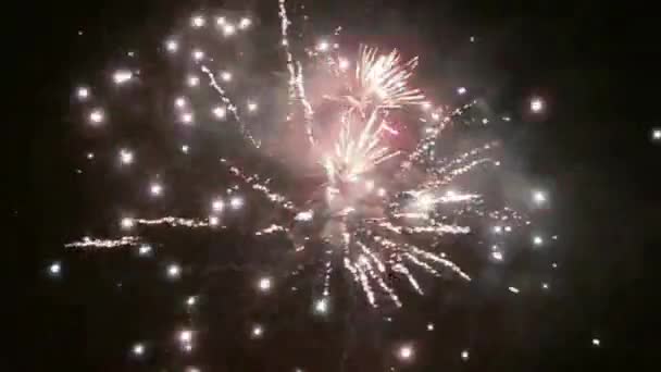 Nieuwjaar vuurwerk op nachtelijke hemel - Video