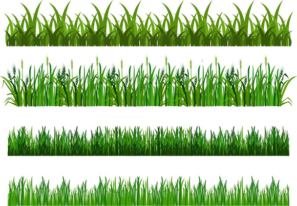 Conjunto de hierba
 - Vector, imagen