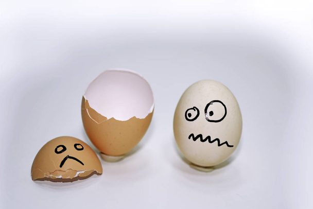 Composizione astratta con guscio di uova
. - Foto, immagini