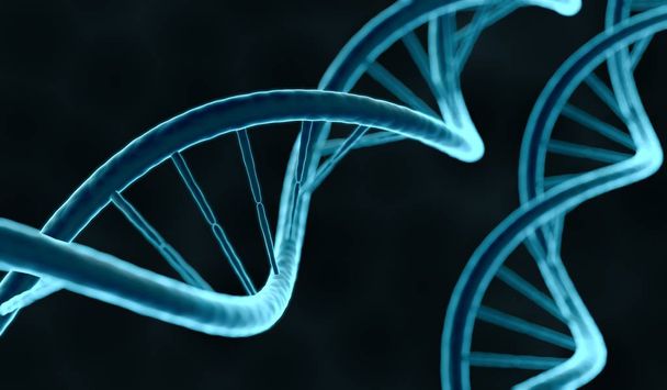 Vista de cerca de la molécula de ADN. Ilustración 3D renderizada
. - Foto, imagen