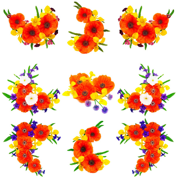 Recogida de amapolas, iris y petunias
  - Foto, imagen