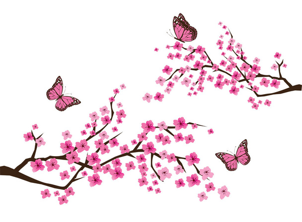 Vector Cherry Blossom - ベクター画像