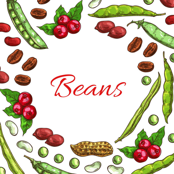 Φασόλια, ξηροί καρποί και σπόροι αφίσα διάνυσμα - Διάνυσμα, εικόνα