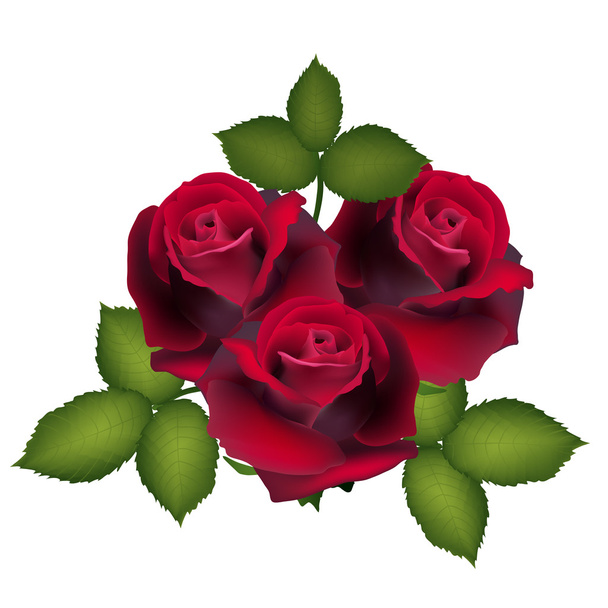 Postcard from red roses - Vector, Image
