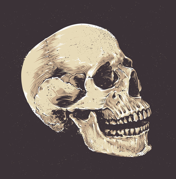 Anatomic Grunge Skull - Vector, afbeelding