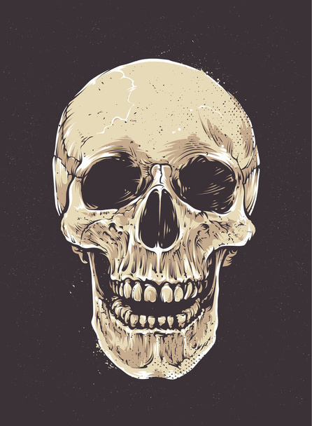 Anatomic Grunge Skull - Wektor, obraz