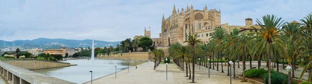 La cathédrale Santa Maria de Palma de Majorque
 - Photo, image