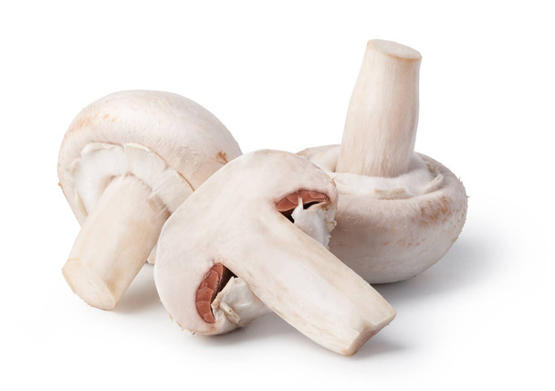mushrooms isolated on white background - Photo, Image