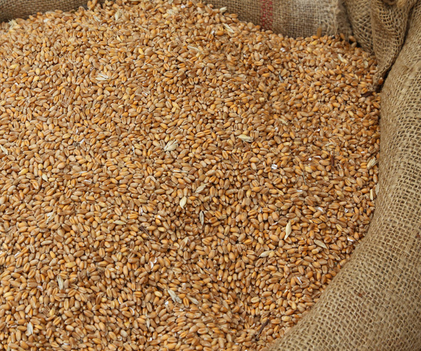 dojrzałej pszenicy nasiona do sprzedaży na rynku ziarna i zboża - Zdjęcie, obraz