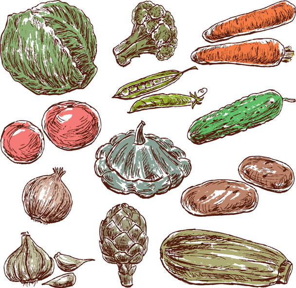 vázlatok a zöldségek - Vektor, kép