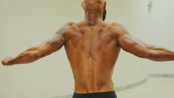 Culturista bronceado fuerte que demuestra la postura doble trasera del bíceps, hombre musculoso
 - Metraje, vídeo