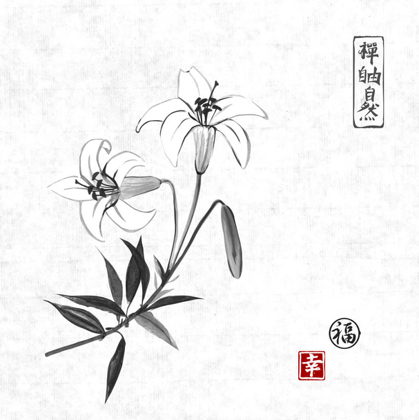 Black and white tiger lily - ベクター画像