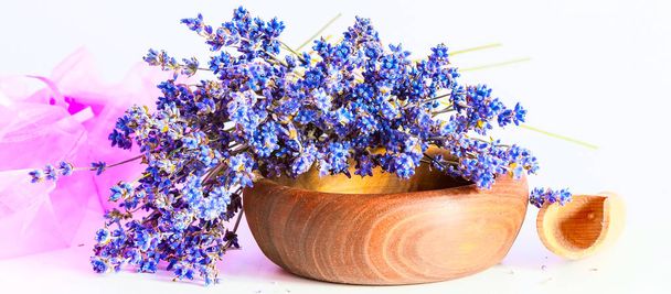 Bunch of lavender flowers on white background - Photo, Image