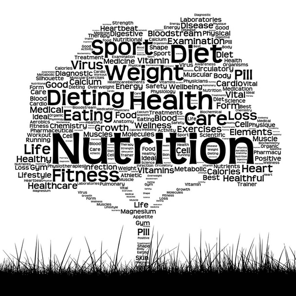 Υγεία διατροφή ή άθλημα λέξη σύννεφο - Φωτογραφία, εικόνα